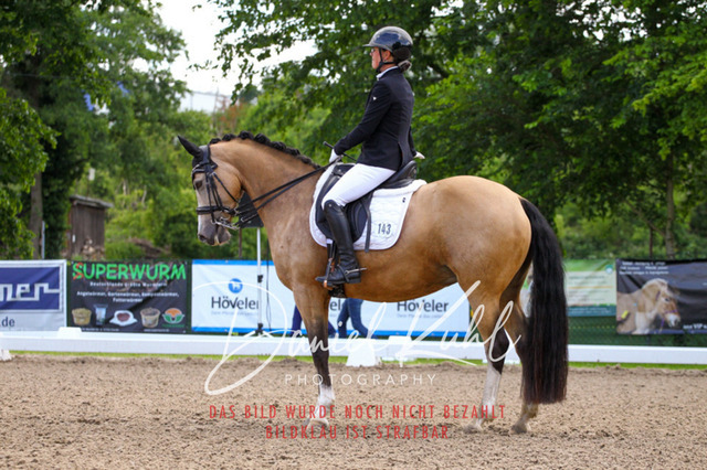 DKP40919 | Turnierfotos kaufen im Webshop von Daniel Kuhl Photography – entdecke professionelle Reitsportfotos aus Turnieren & Events. Hochwertige Turnierbilder online bestellen & sichern. Jetzt Fotos von Reitsportturnieren kaufen!