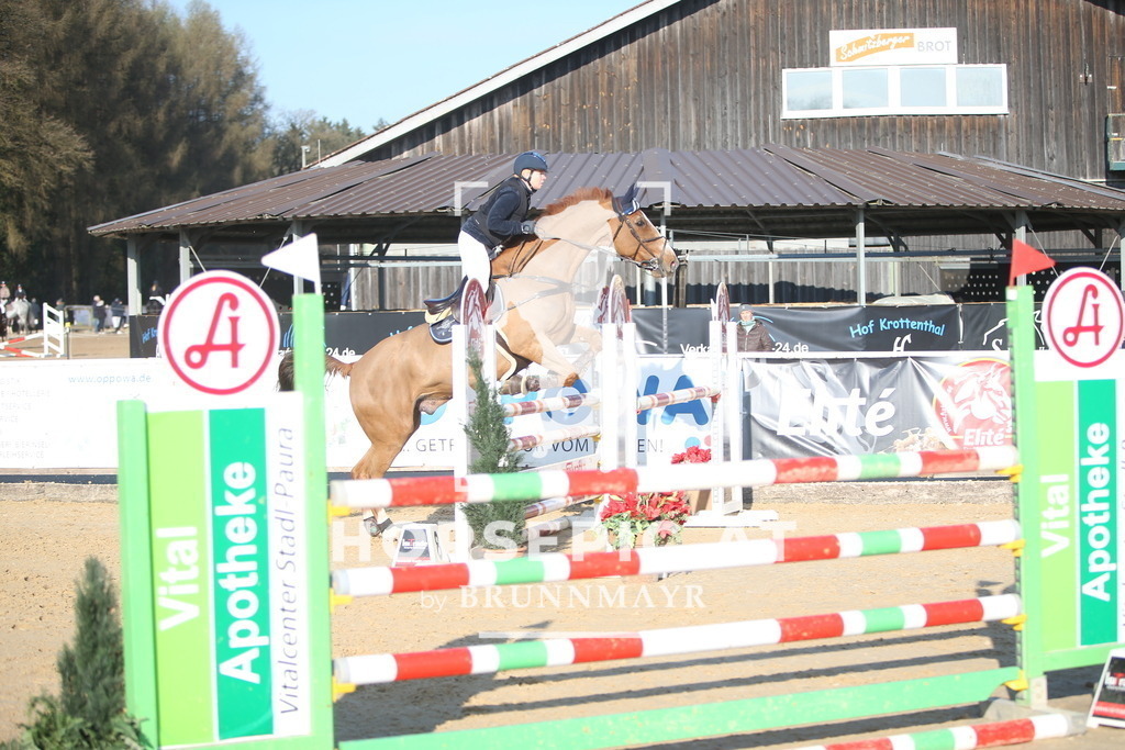 AS8V4753 | Willkommen bei Brunnmayr - Design & Fotografie – Ihrem Spezialisten für Reitturniere und Pferdeveranstaltungen in Oberösterreich, Salzburg und Bayern! Seit über 17 Jahren sind wir leidenschaftlich dabei.