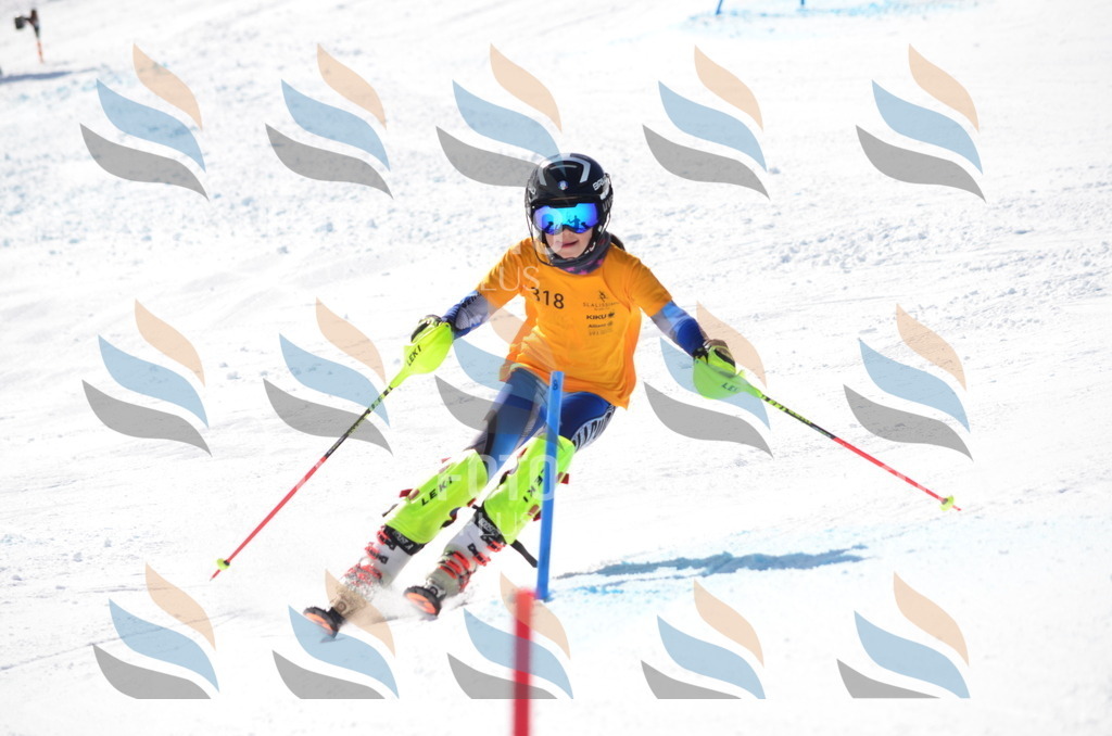 C9568 | holidayphoto