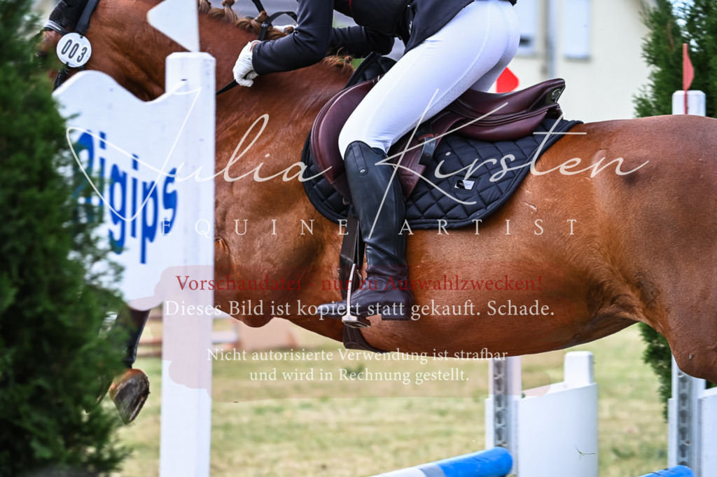 DSC_8202 | Pferde- und Turnierfotografie in Westsachsen. Pferdeportraits, Auftragszeichnungen und intuitive Kunst.