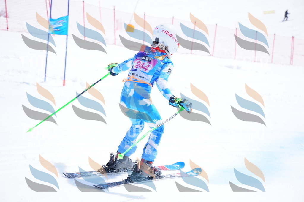 DSC_6175 | holidayphoto