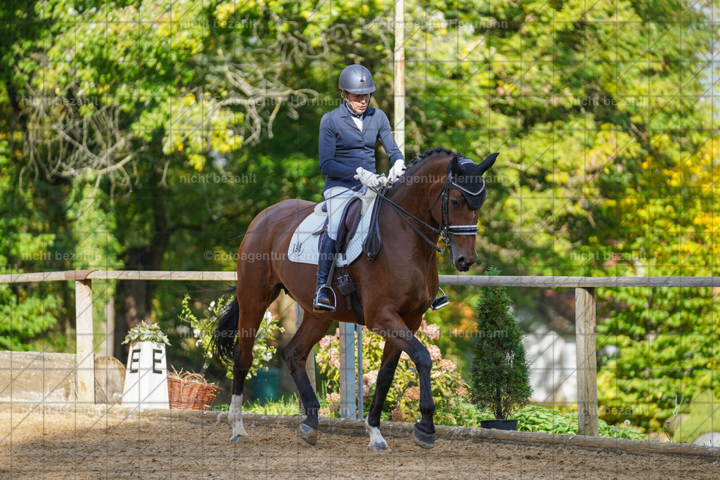 20221007-FAH09980 | Diessen am Ammersee, 2022, Dressur- und Springturnier, Reitsportbilder, Turnierfotografen Bayern, Pferdefotografen, Fotoagentur Herrmann, Turnierbilder