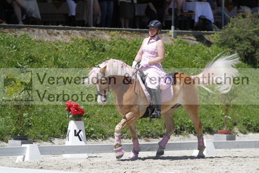 _MG_7590 | equestrian-live-com