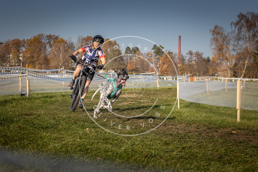 CaniXpix_0L8A7650 | Hundefotografie, Tierfotograf, Pfotenfotografie, Fotoshooting Hund, Hunde Portrait, Hundesport, Hundeportraits, Heideshooting, Hunde, Sportfotograf, Hundefotograf, Turnierhundsport, THS,  - Realisiert mit Pictrs.com