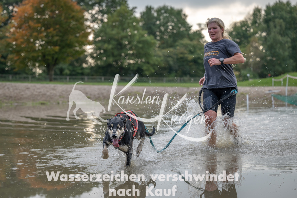 1536_ZZ93498 | kk-dogfotos