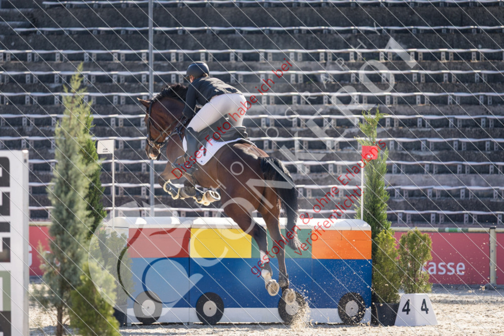 IMG_2856 | Sport-, Event- und Tierfotos in Profiqualität. Einfach auswählen, bestellen und herunterladen. Dein Moment – perfekt festgehalten.