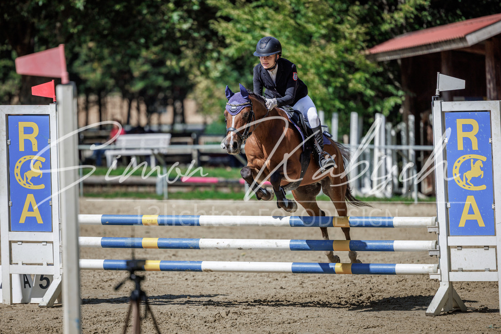 20260905-_3LI9254 | Tierfotografie Pferde, Hunde, Katzen, Haustiere.
Turnierfotografie Reitturniere, Reiten, Springreiten, Dressur in Hanau, dem Main-Kinzig-Kreis und dem Rhein-Main- Gebiet um Frankfurt