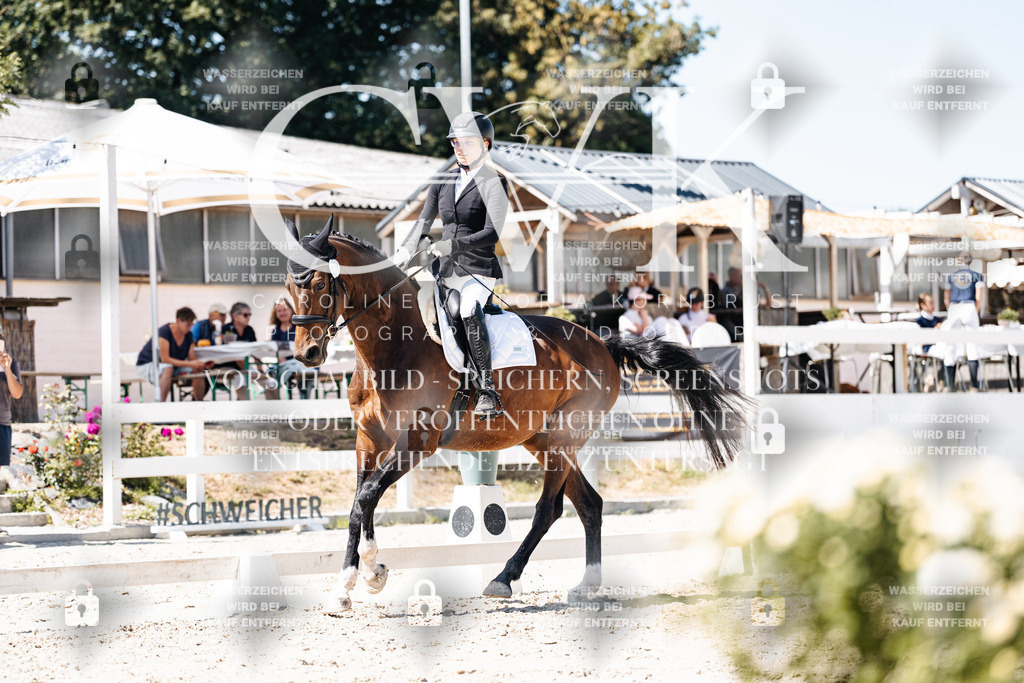 CK900416 | Turnierfotografie Pferdefotografie Trier Rheinland-Pfalz Pferdesport Reitsport Tierfotografie Sportfotografie Pferdevideo Pferdevideografie Equestrianvideography equestrianphotography  - Realisiert mit Pictrs.com