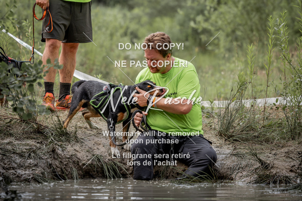 nelerasche_so0800-0930_143 | nelerasche