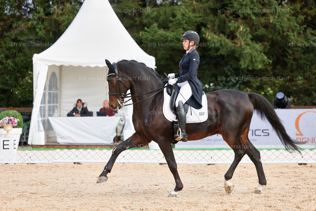07-007-DRESSUR  S___  -StoibPH-5013 | working equitationturnier fotograf videograf stoibphotography marixx film working equitation deutschland reitsport turnierfotografie eventfotografie equestrian events
