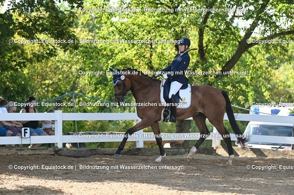 20230715_06_Dressurpferdeprfg. Kl.A_0211 | equistock