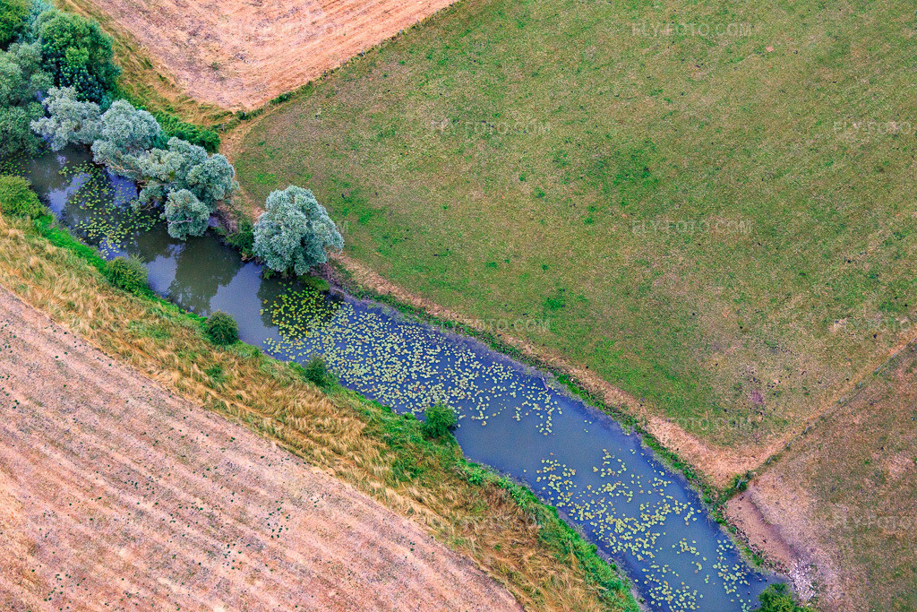 Aerial view: Water lily leaves on the Meuse in Maxey-sur-Vaise in the state Meuse, France. – Photo: IMG_083584.jpg taken on 07/13/2015 by Werner Riehm/FLY-FOTO.com – Resolution of the original: 5472 x 3648 px