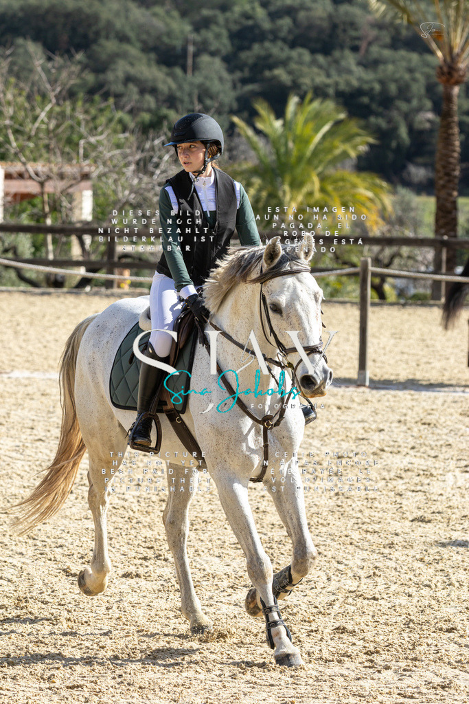 IMG_4096 | s-jay-photography - Realisiert mit Pictrs.com