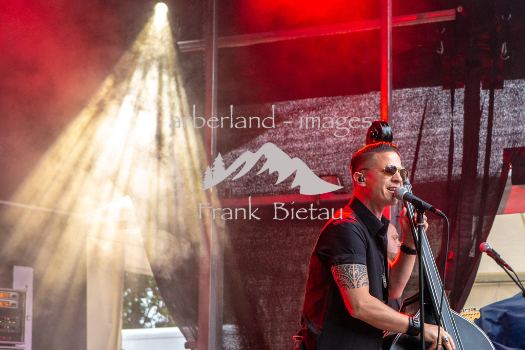 09062018-fb-0910 | Rock the Hill Festival 2018

Bild: die Band: Fenzl 3000, am Samstag Abend