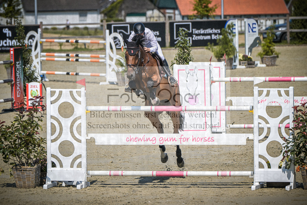 DOS_1434 | Entdecke hochwertige Reitturnierfotos von Foto Oger. Professionell, emotional und authentisch – jetzt Lieblingsmomente im Shop bestellen.Deutschlandweite Turnierfotografie. - Realisiert mit Pictrs.com