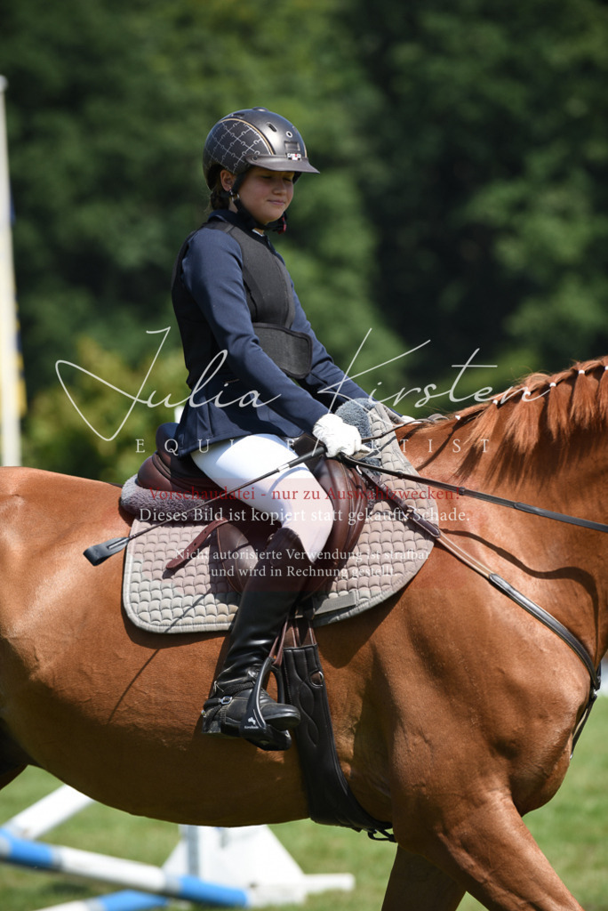 DSC_0076 | Pferde- und Turnierfotografie in Westsachsen. Pferdeportraits, Auftragszeichnungen und intuitive Kunst.