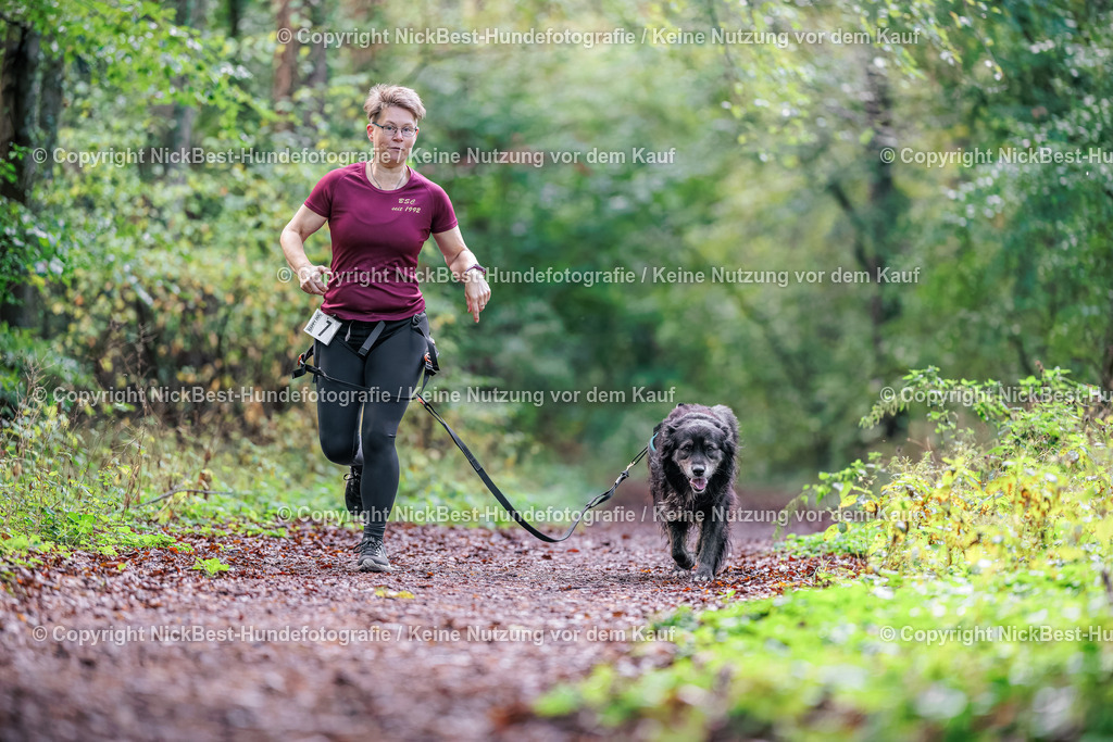 THS-HSV-Blumenthal-2026-Nickbest-Hundefotografie-0703 | Dein Hund! Dein Moment! Deine Erinnerungen! Hundefotografie in Bremen Blumenthal. Ich fange die besonderen Momente deines Vierbeiners ein – ob Indoor mit Blitzanlage oder in der freien Natur. Sicher dir dein Moment und dein Termin für eure Erinnerungen.