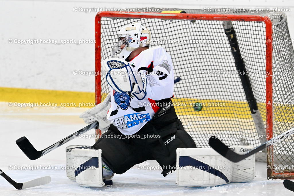 EC Feld am See vs. ELV Zauchen 15.1.2023 | #81 Harder Michael, Puck, Tor ELV Zauchen