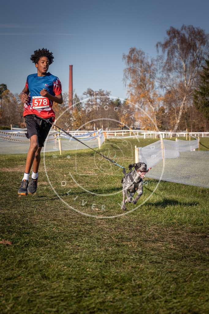 CaniXpix_0L8A8189 | Hundefotografie, Tierfotograf, Pfotenfotografie, Fotoshooting Hund, Hunde Portrait, Hundesport, Hundeportraits, Heideshooting, Hunde, Sportfotograf, Hundefotograf, Turnierhundsport, THS,  - Realisiert mit Pictrs.com
