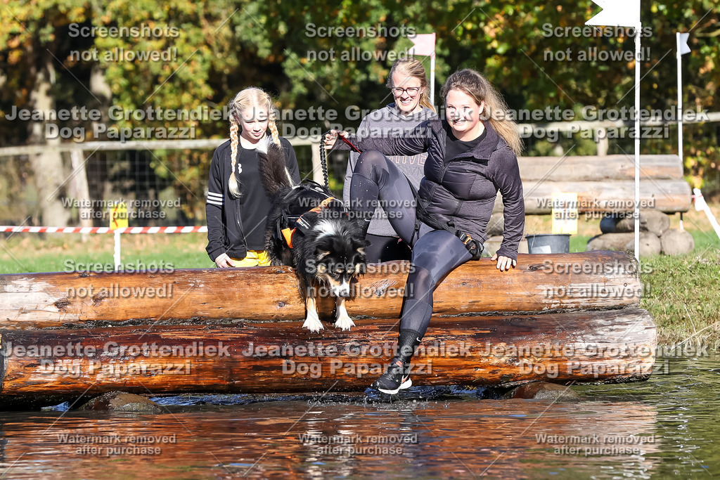 Dog Paparazzi - Strongdog 10-25-8848 | Dog Paparazzi Jeanette Grottendiek Fotografie & Videografie - Realisiert mit Pictrs.com