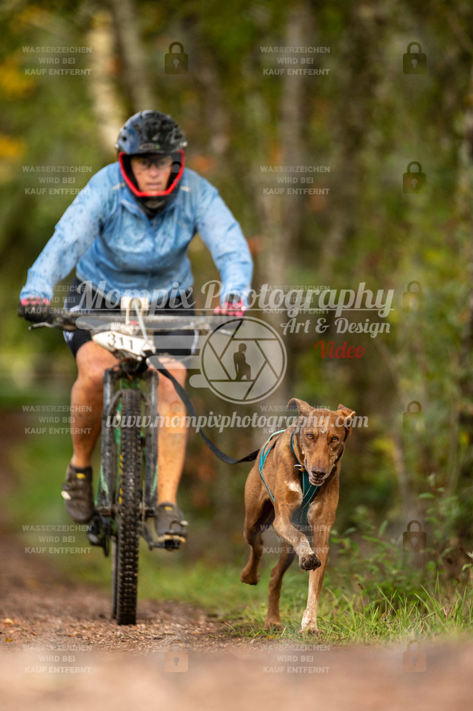 TSB_2023_E4_Bike-67 | PayLife