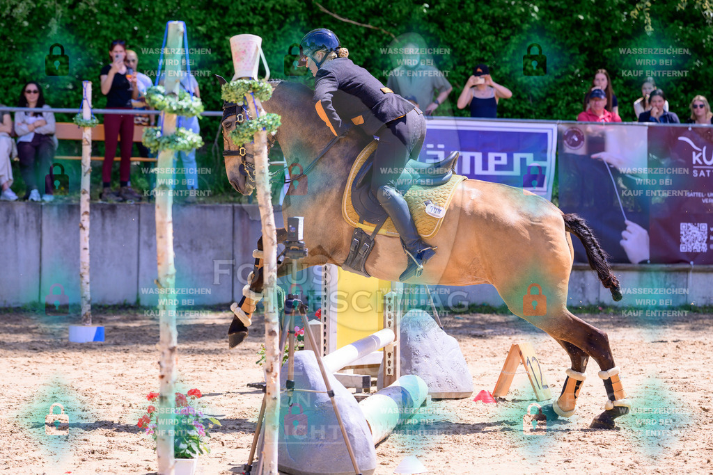 03052026-Giesenbach-04-Stiltrail-0322 | Fokus Hufschlag Fotografie - Realisiert mit Pictrs.com
