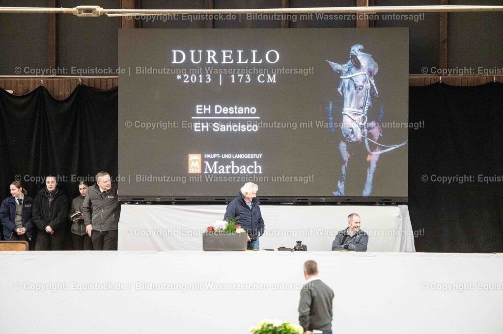 20260307_Hengstvorstellung-Marbach_0464 | equistock