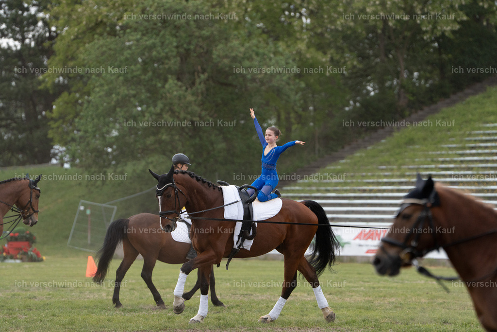 PI26_show_Jan_Picutures7C_06847.jpg | working equitationturnier fotograf videograf stoibphotography marixx film working equitation deutschland reitsport turnierfotografie eventfotografie equestrian events