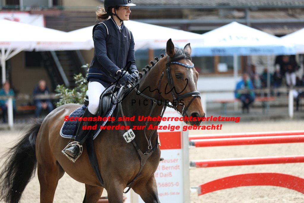 A40A2438 | lmwpictures - Realisiert mit Pictrs.com