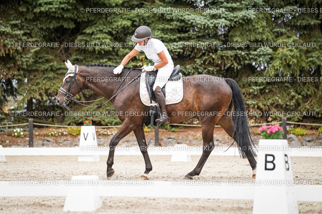 DSC06432 | Pferdegrafie