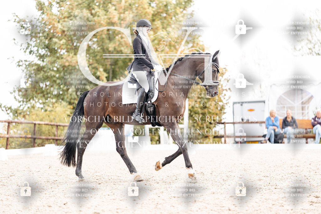 CK901786 | Turnierfotografie Pferdefotografie Trier Rheinland-Pfalz Pferdesport Reitsport Tierfotografie Sportfotografie Pferdevideo Pferdevideografie Equestrianvideography equestrianphotography  - Realisiert mit Pictrs.com