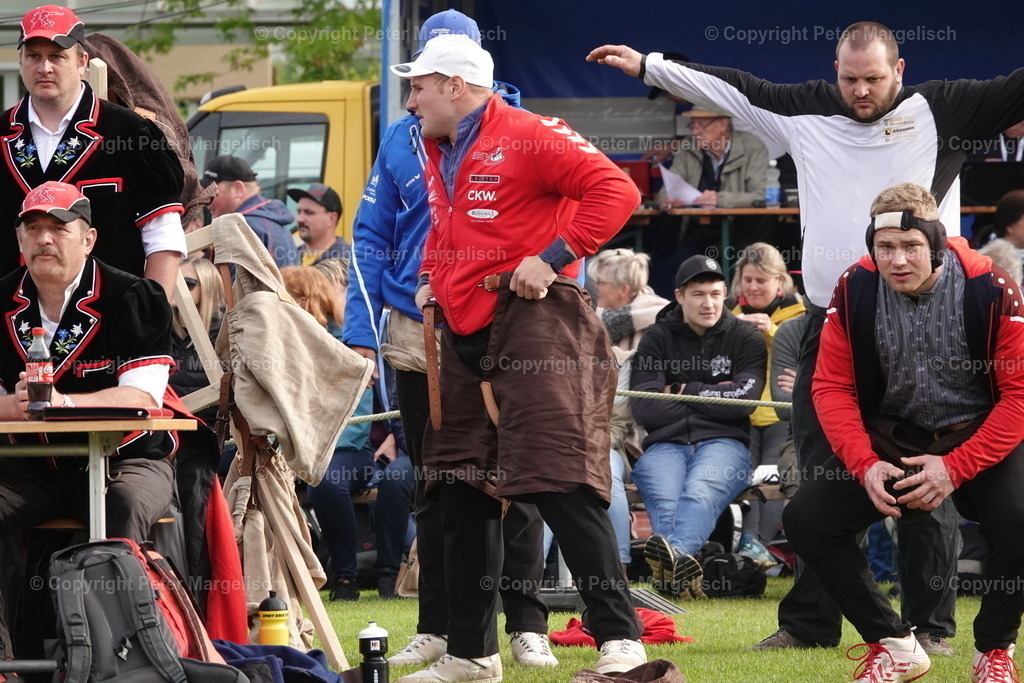 DSC03990 | Schwingen - Realisiert mit Pictrs.com