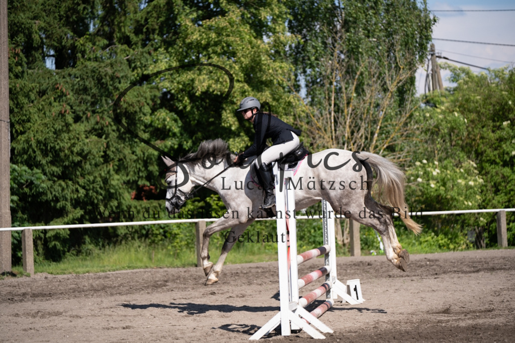 A7V03537 | Pferdefotograf