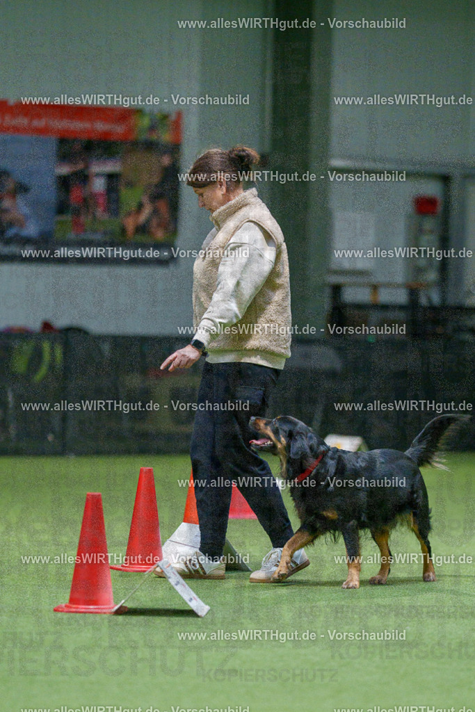 7R505442 | Professionelle Tierfotografie in Mönchengladbach von Daniel Wirth (allesWIRTHgut). Liebevolle & natürliche Bilder von Hunden & Katzen für unvergessliche Erinnerungen.