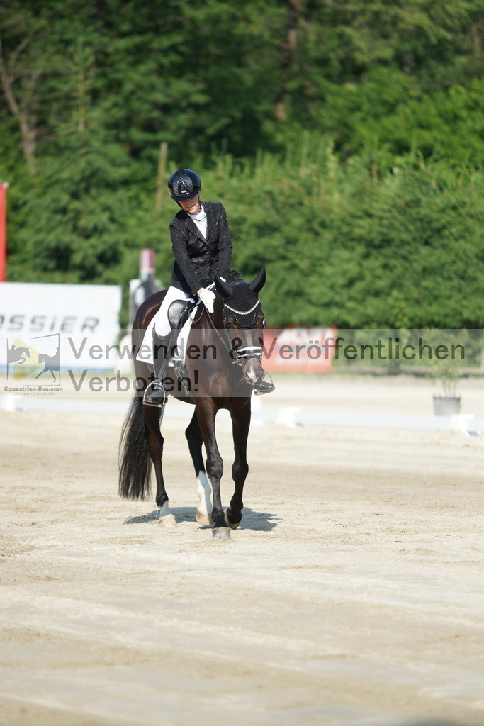 DSC01288 | equestrian-live-com