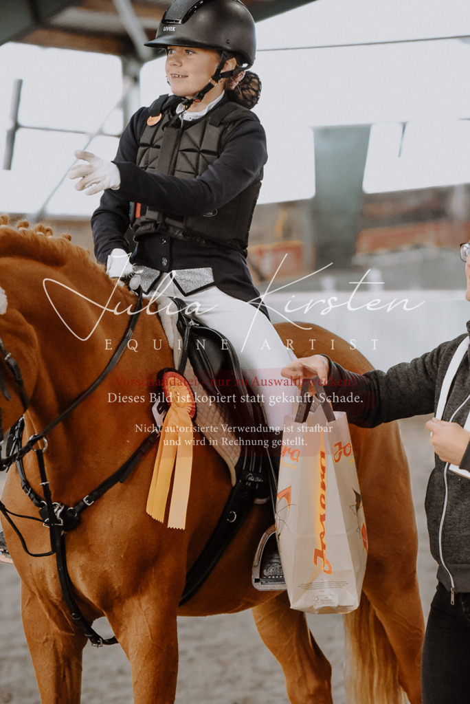 DSC_7497 | Pferde- und Turnierfotografie in Westsachsen. Pferdeportraits, Auftragszeichnungen und intuitive Kunst.