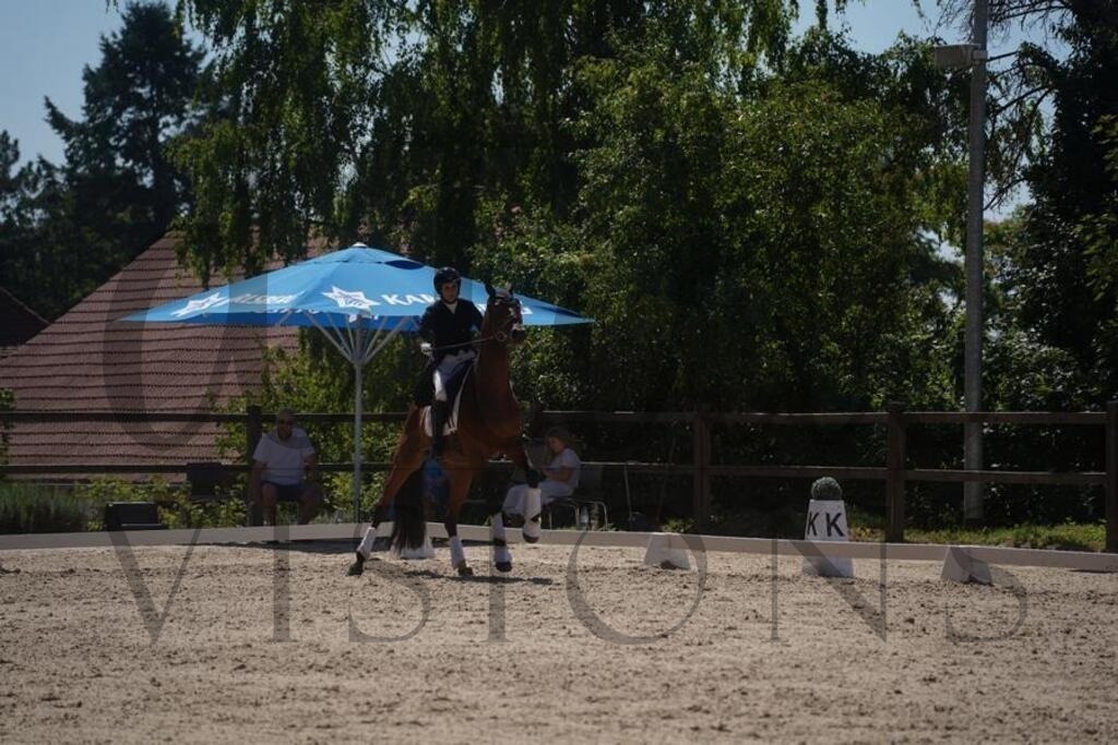 tgbhsonntag (1461) | d.tail Visions - Shop - Realisiert mit Pictrs.com