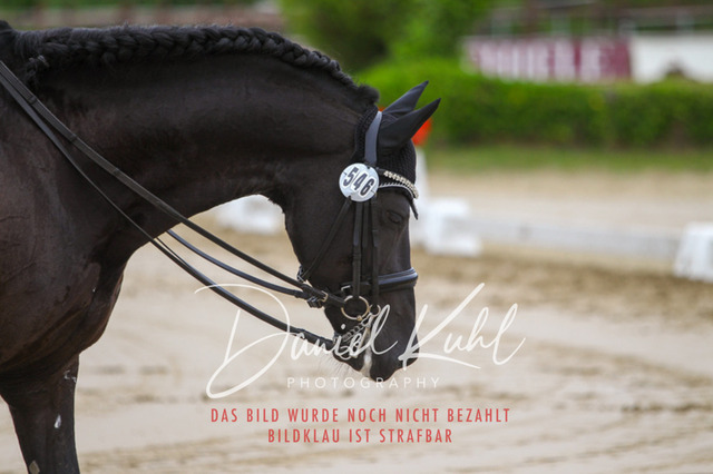 DKP47468 | Turniersportfotografie; Pferdefotografie; Dressurfotografie