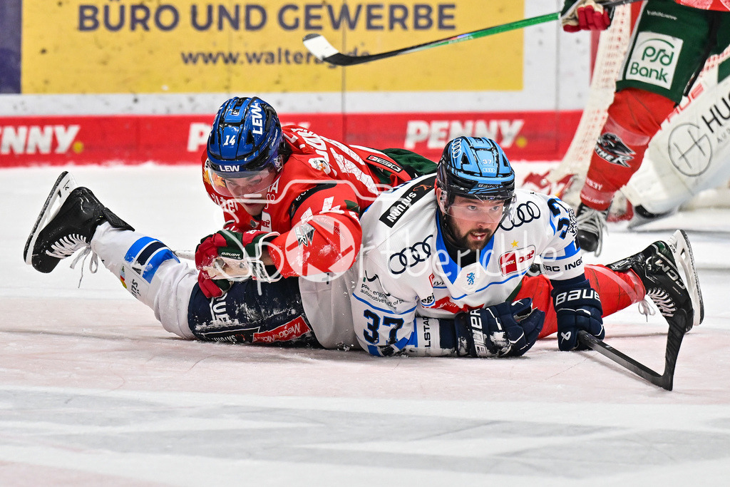 Augsburger Panther - ERC Ingolstadt | AUGSBURG, GERMANY - 12. DECEMBER: im Duell D. J. BUSDEKER (Augsburger Panther 14) und Riley BARBER (ERC Ingolstadt 37) während dem Match zwischen den Augsburger Panthern und dem ERC Ingolstadt am 27. Spieltag der Penny DEL im Curt Frenzel Stadion