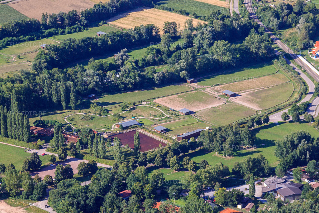 Luftbild: Straussenfarm Mhou in Rülzheim im Bundesland Rheinland-Pfalz in Deutschland. Foto: IMG_30706.jpg vom 31.07.2010 durch Werner Riehm/FLY-FOTO.de