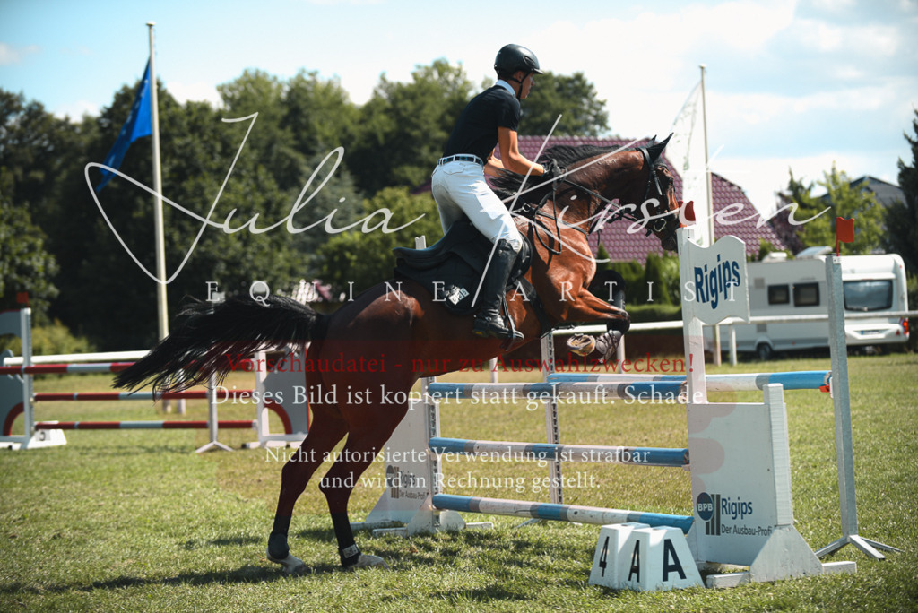 DSC_6996 | Pferde- und Turnierfotografie in Westsachsen. Pferdeportraits, Auftragszeichnungen und intuitive Kunst.