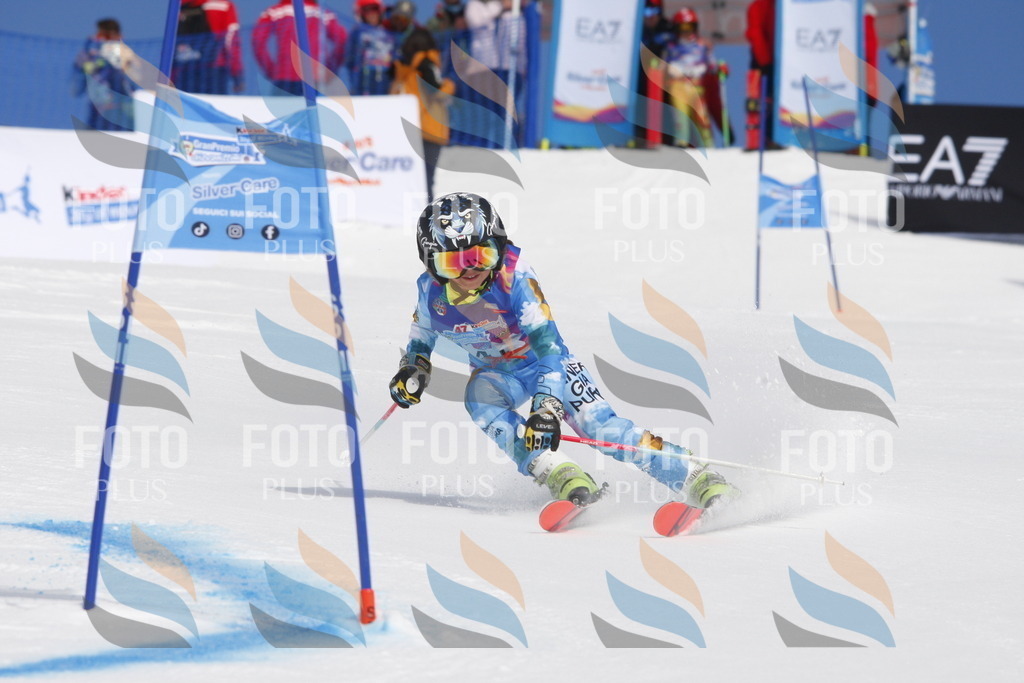 _W1G0585 | holidayphoto