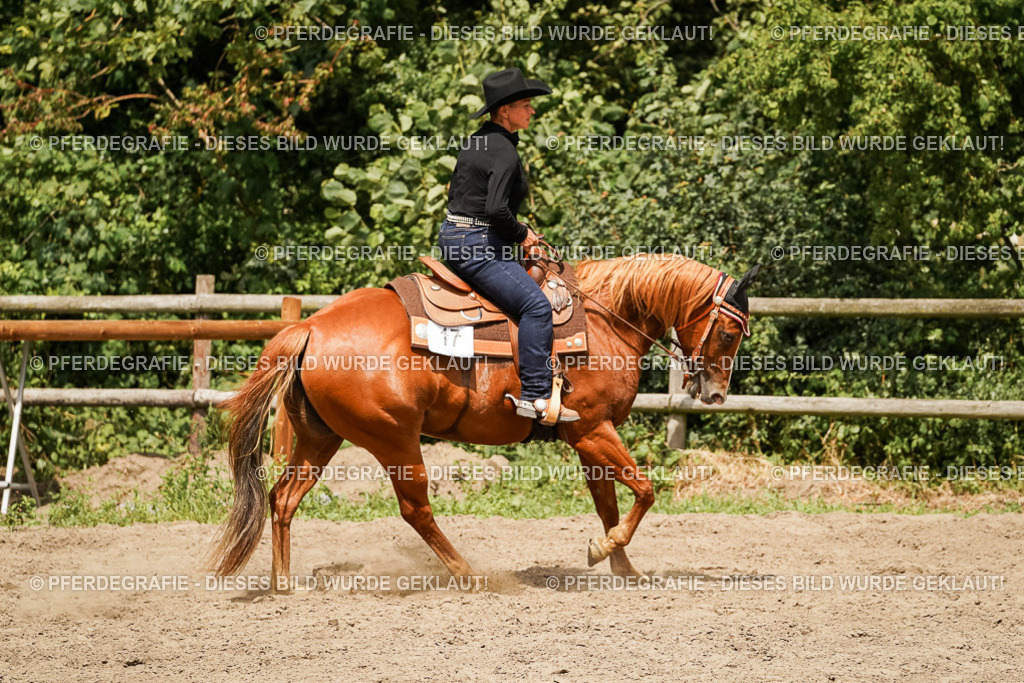 DSC00597 | Pferdegrafie