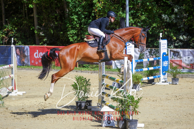 DKP43131 | Turniersportfotografie; Pferdefotografie; Dressurfotografie