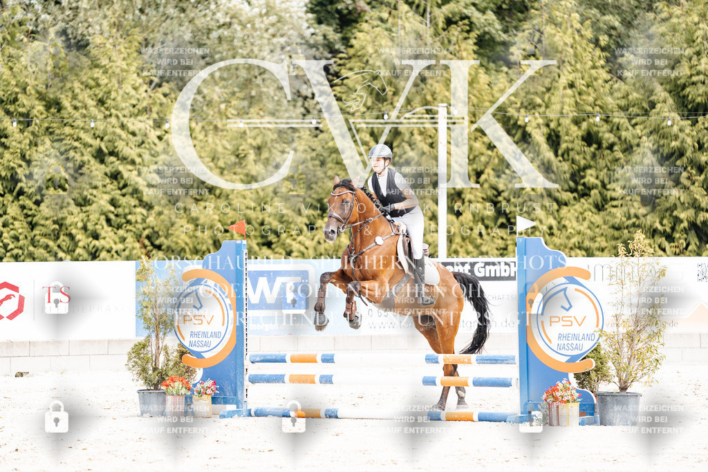 CK906569 | Turnierfotografie Pferdefotografie Trier Rheinland-Pfalz Pferdesport Reitsport Tierfotografie Sportfotografie Pferdevideo Pferdevideografie Equestrianvideography equestrianphotography  - Realisiert mit Pictrs.com