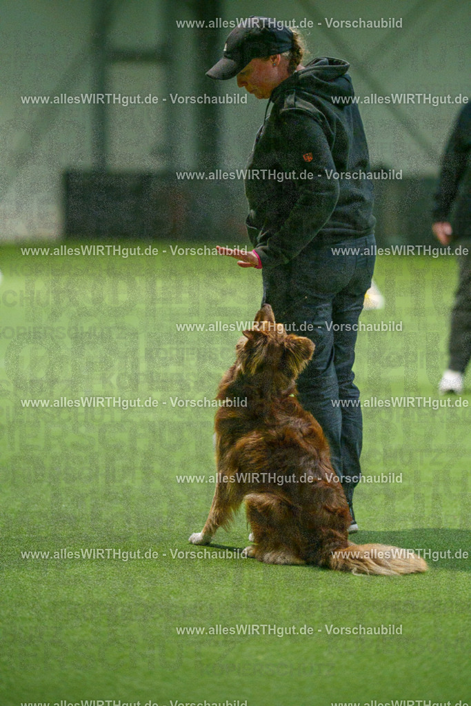 7R507250 | Professionelle Tierfotografie in Mönchengladbach von Daniel Wirth (allesWIRTHgut). Liebevolle & natürliche Bilder von Hunden & Katzen für unvergessliche Erinnerungen.