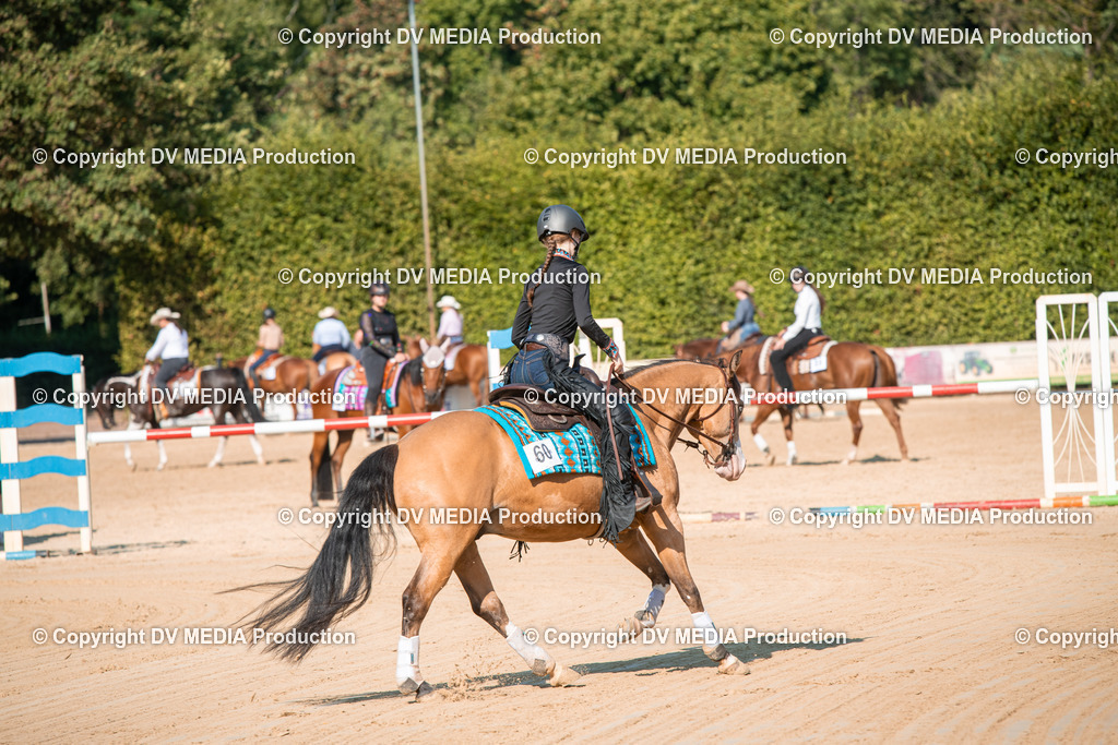 ZS2_8807 | dv-media-shop - Realisiert mit Pictrs.com