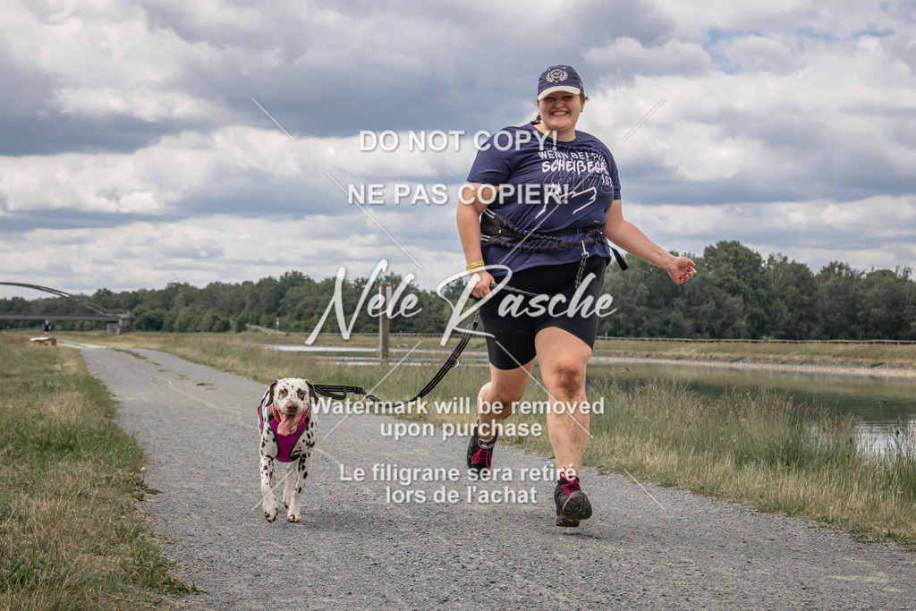 nelerasche_BuHu2026_SaCC1100-1200_270 | nelerasche