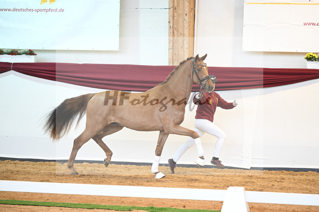 Kat-Nr. 52 v. Vaderland_Galneder_66220717 | hf-fotografie - Realisiert mit Pictrs.com