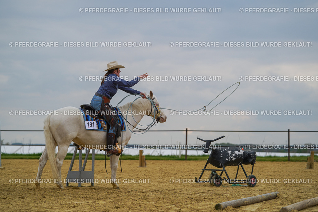 DSC07530 | Pferdegrafie